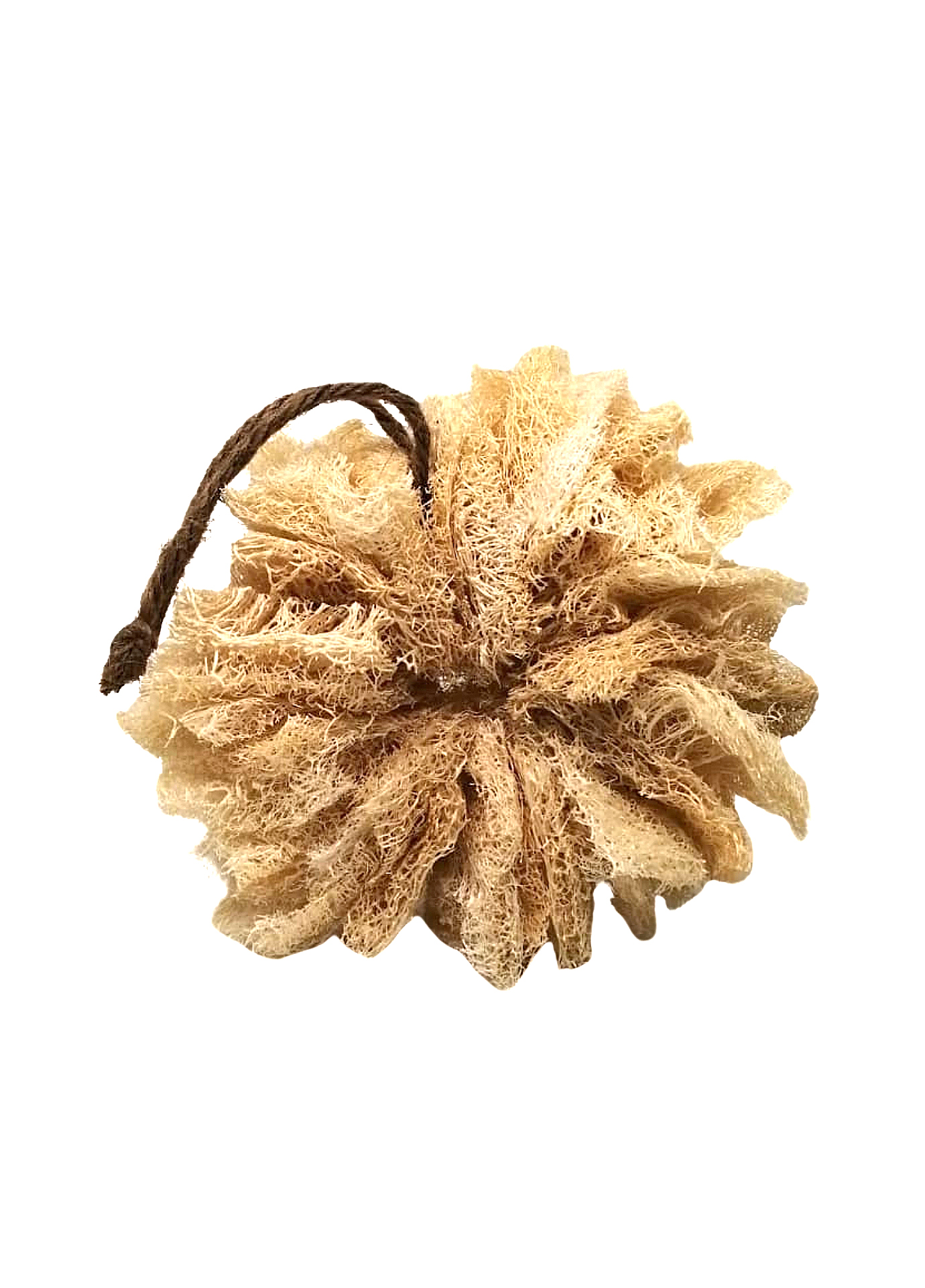 Akoussa fleur de douche (Luffa cylindrica) Corps et pieds